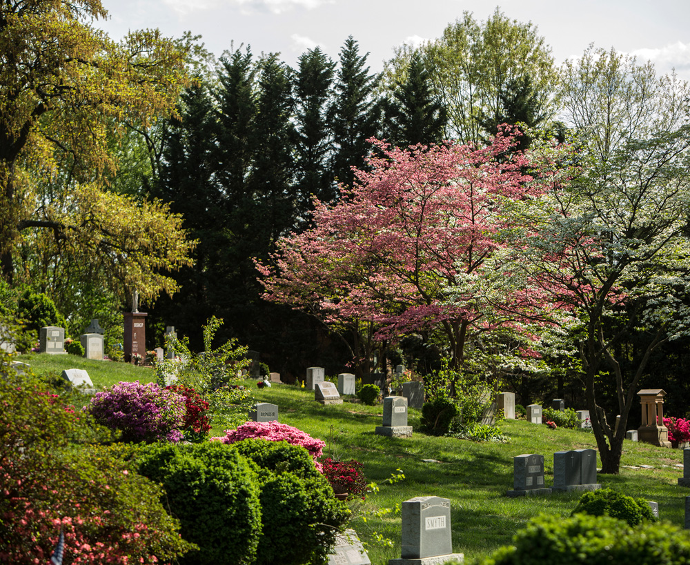 Columbia Gardens Cemetery Funeral Options