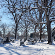 Wintry landscape